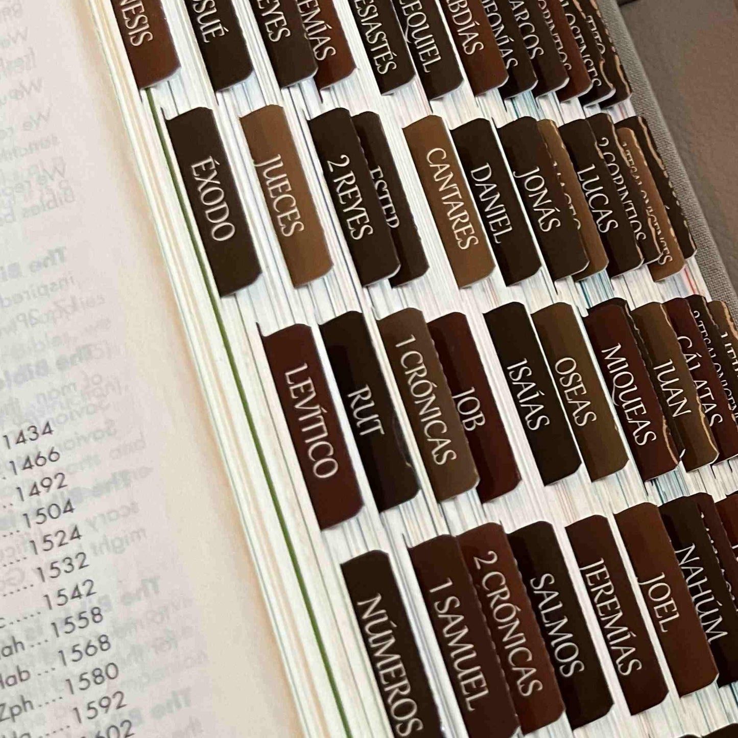 Laminated Bible Tabs