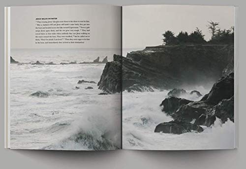 Gospels and Psalms Set - Alabaster Bible