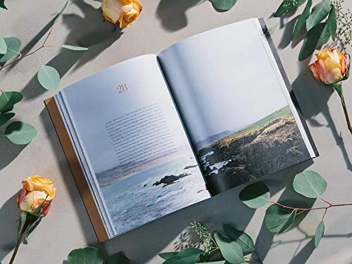 Gospels and Psalms Set - Alabaster Bible