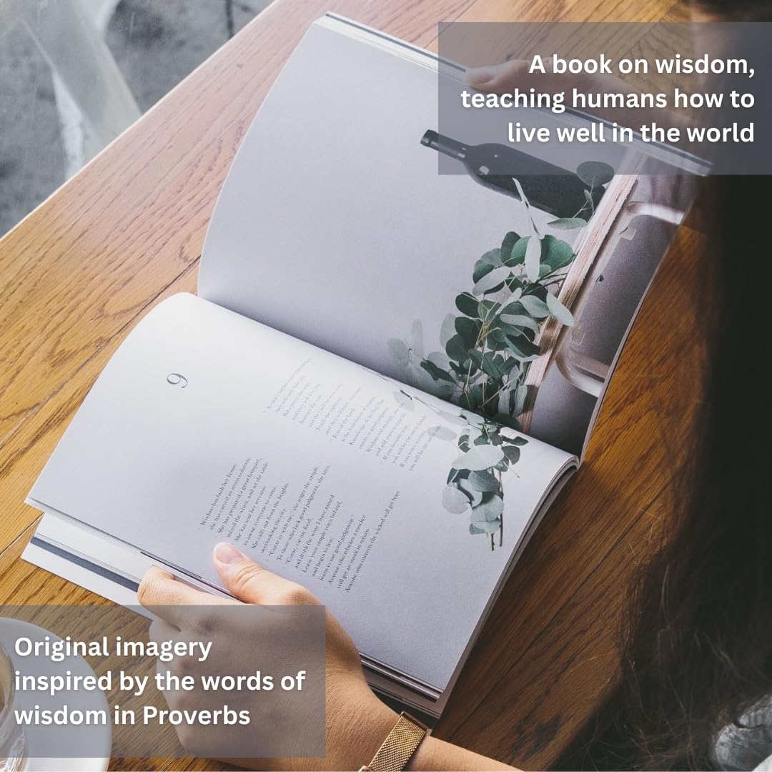 Book of Proverbs - Alabaster Bible