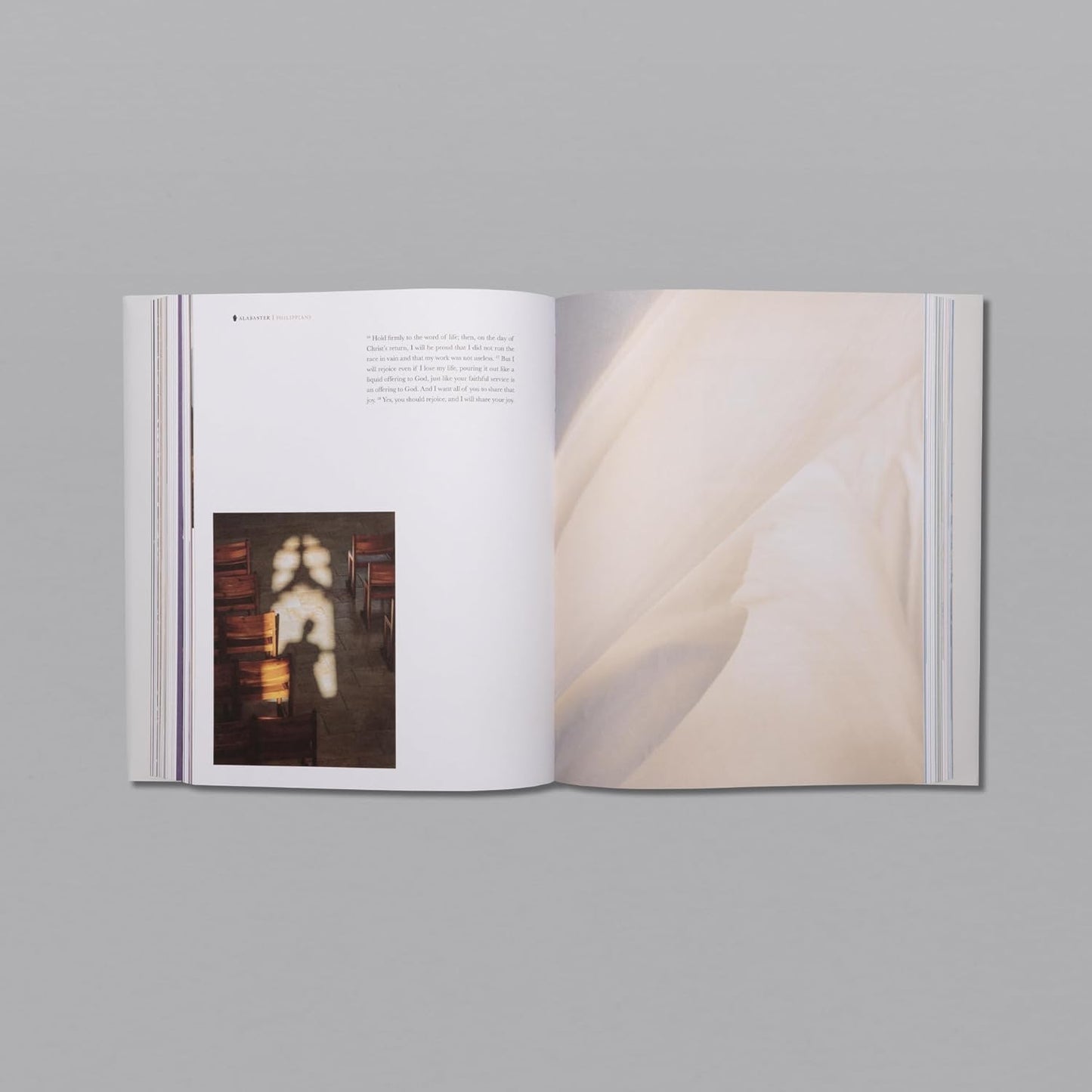 The Letters (HC,NLT)