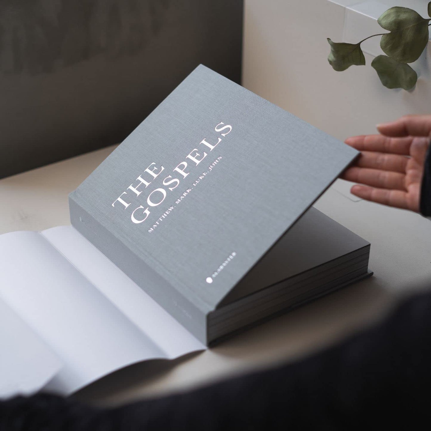 ESV Gospels Hardcover - Alabaster Bible