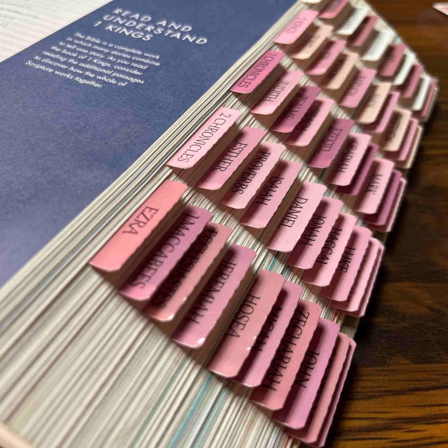 Laminated Bible Tabs