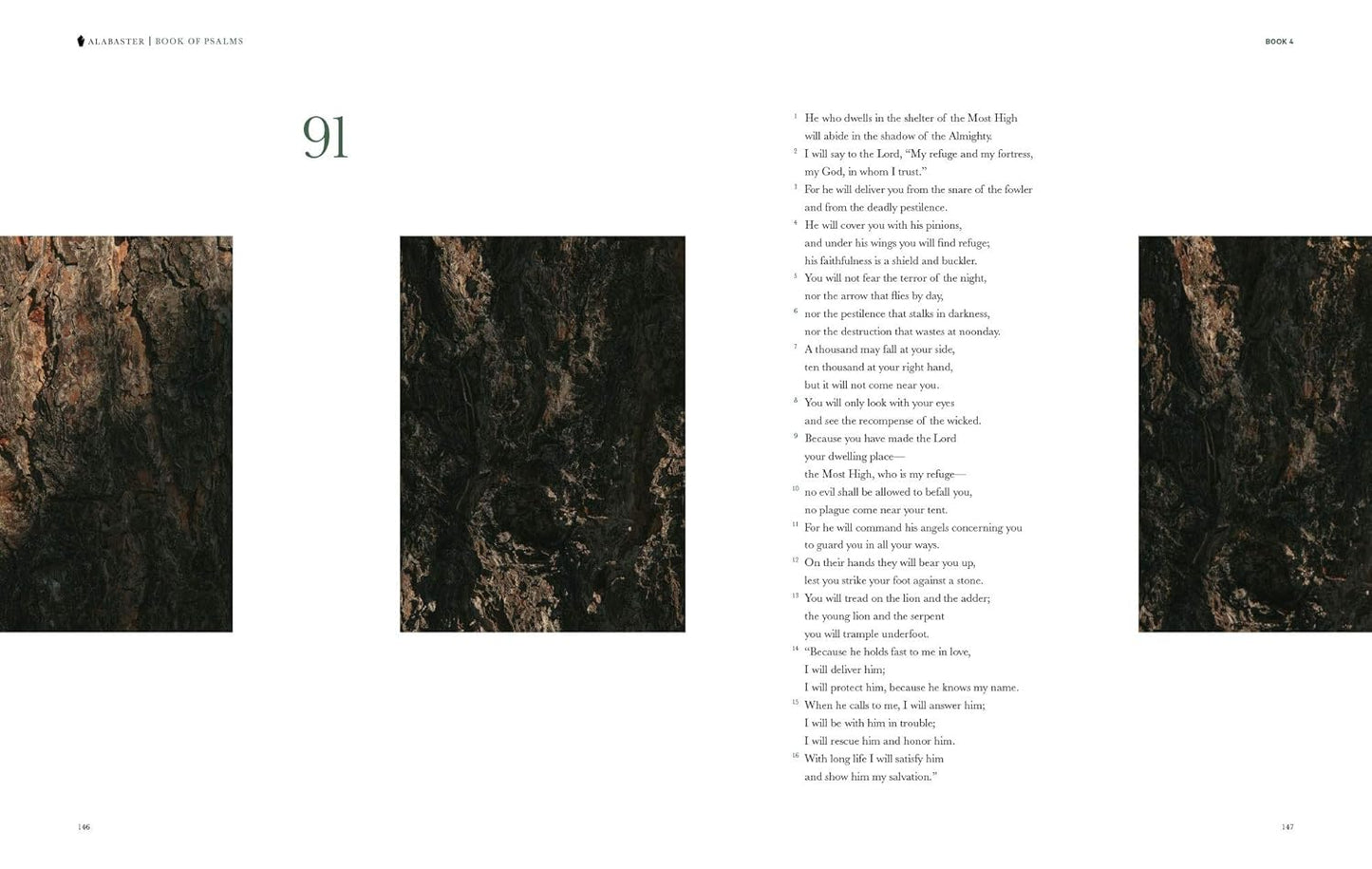 Book of Psalms - Alabaster Bible (NLT)