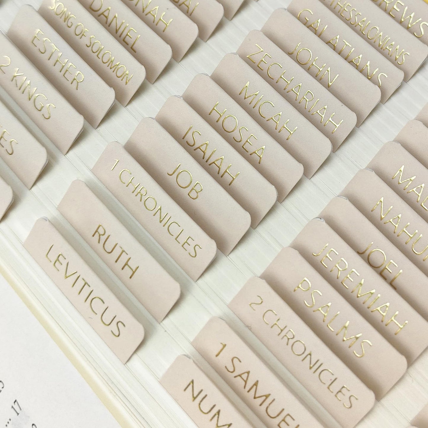 Laminated Bible Tabs