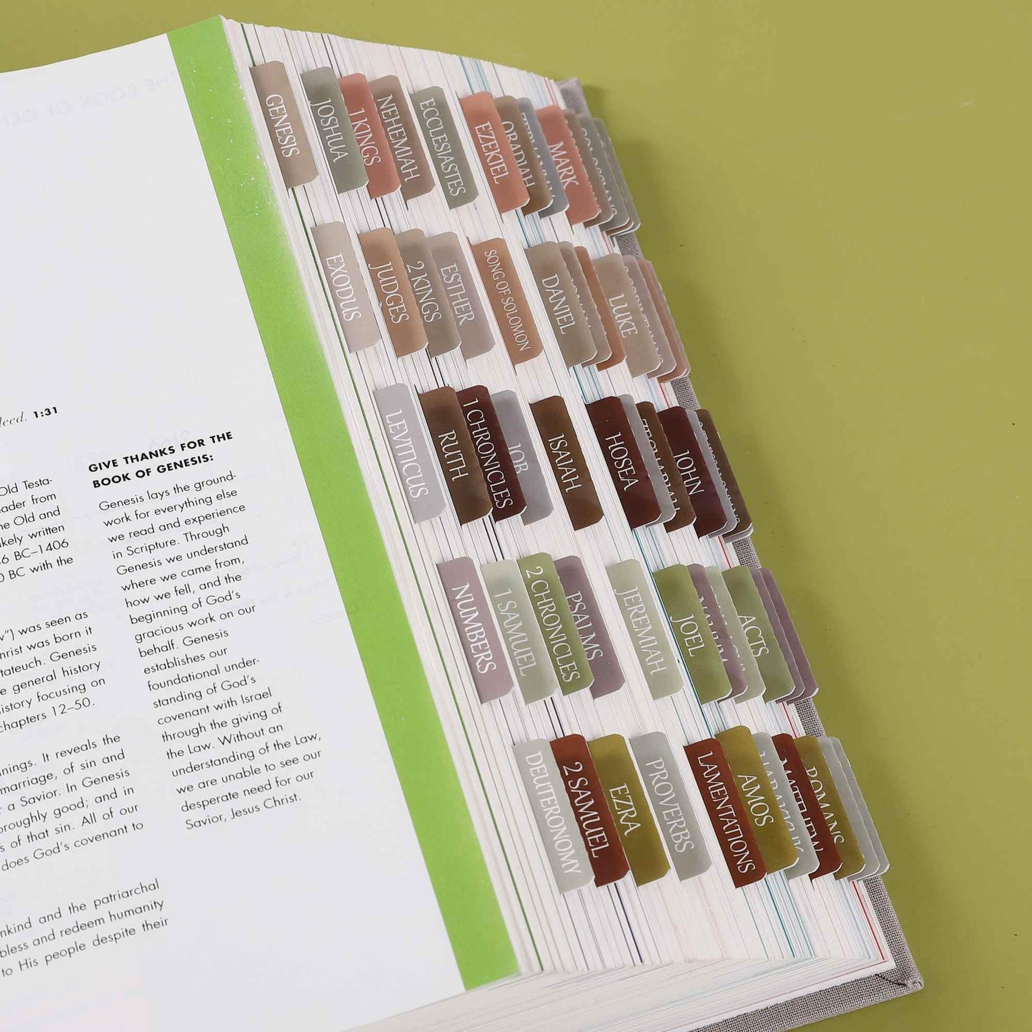 Laminated Bible Tabs