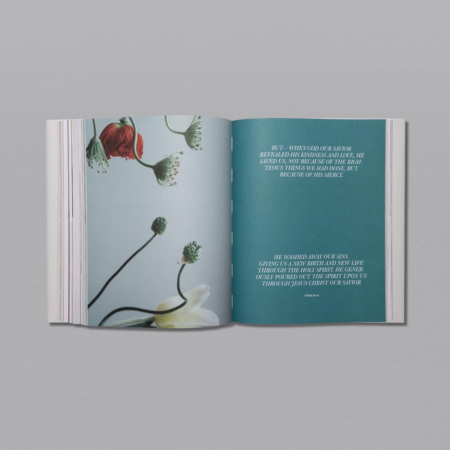 The Letters (HC,NLT)