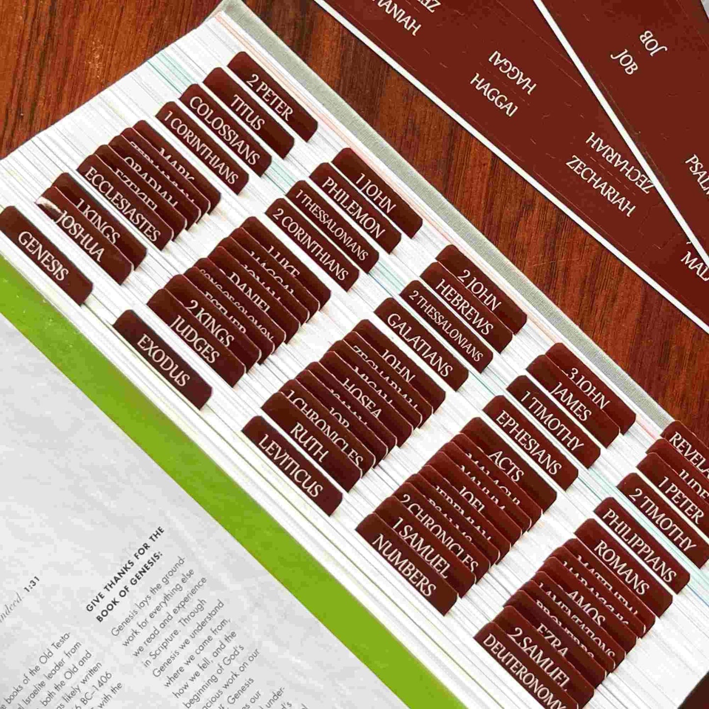 Laminated Bible Tabs, Large Print Stickers