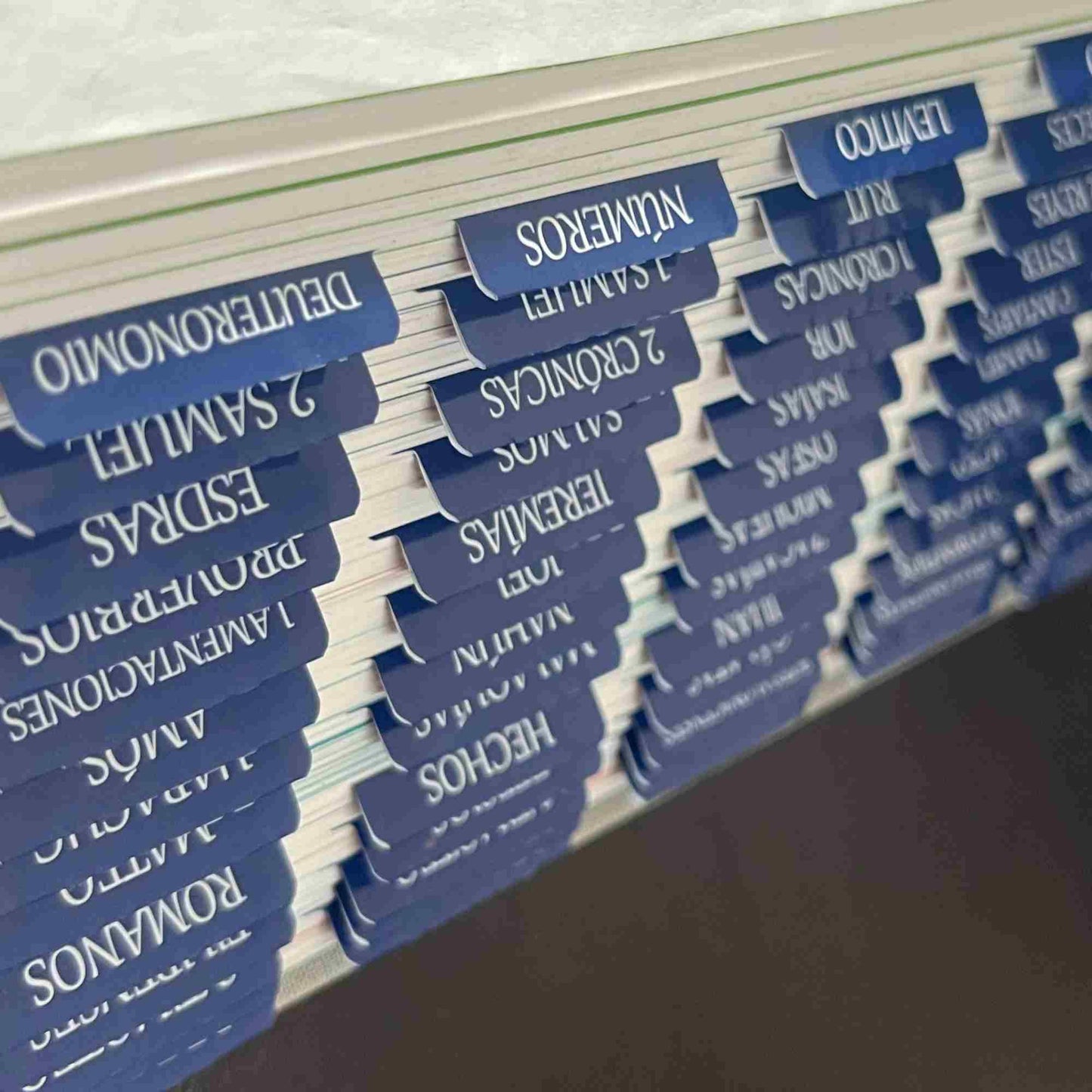 Laminated Bible Tabs