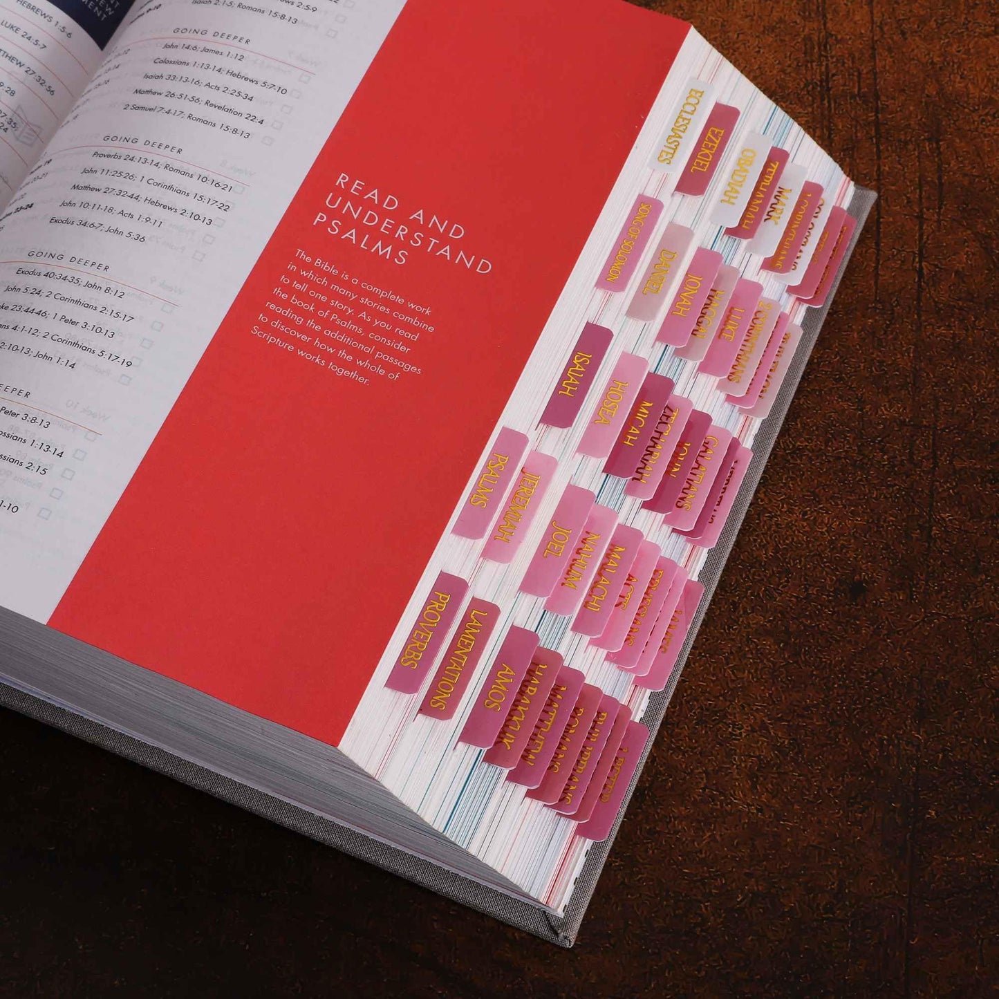 Laminated Bible Tabs