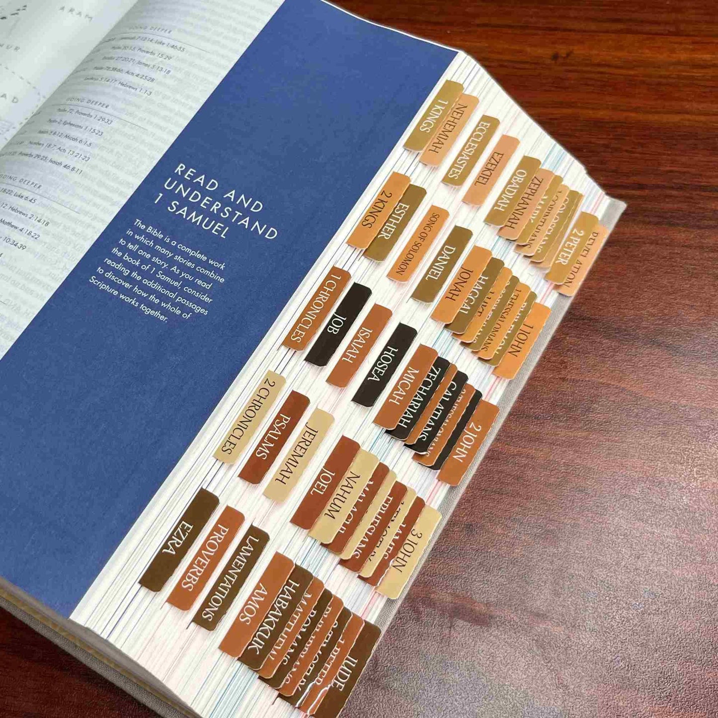 Laminated Bible Tabs, Large Print Stickers