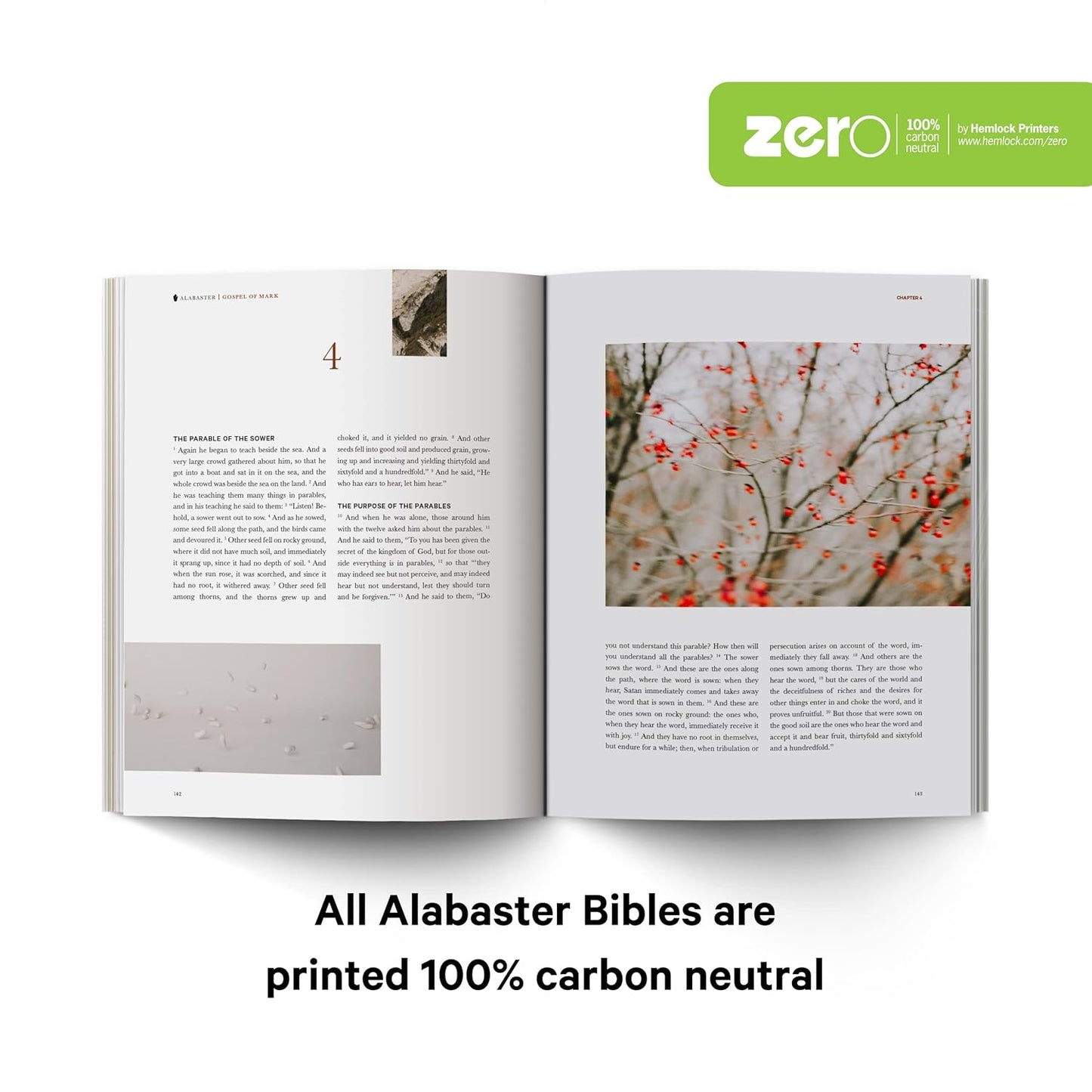 ESV Gospels Hardcover - Alabaster Bible