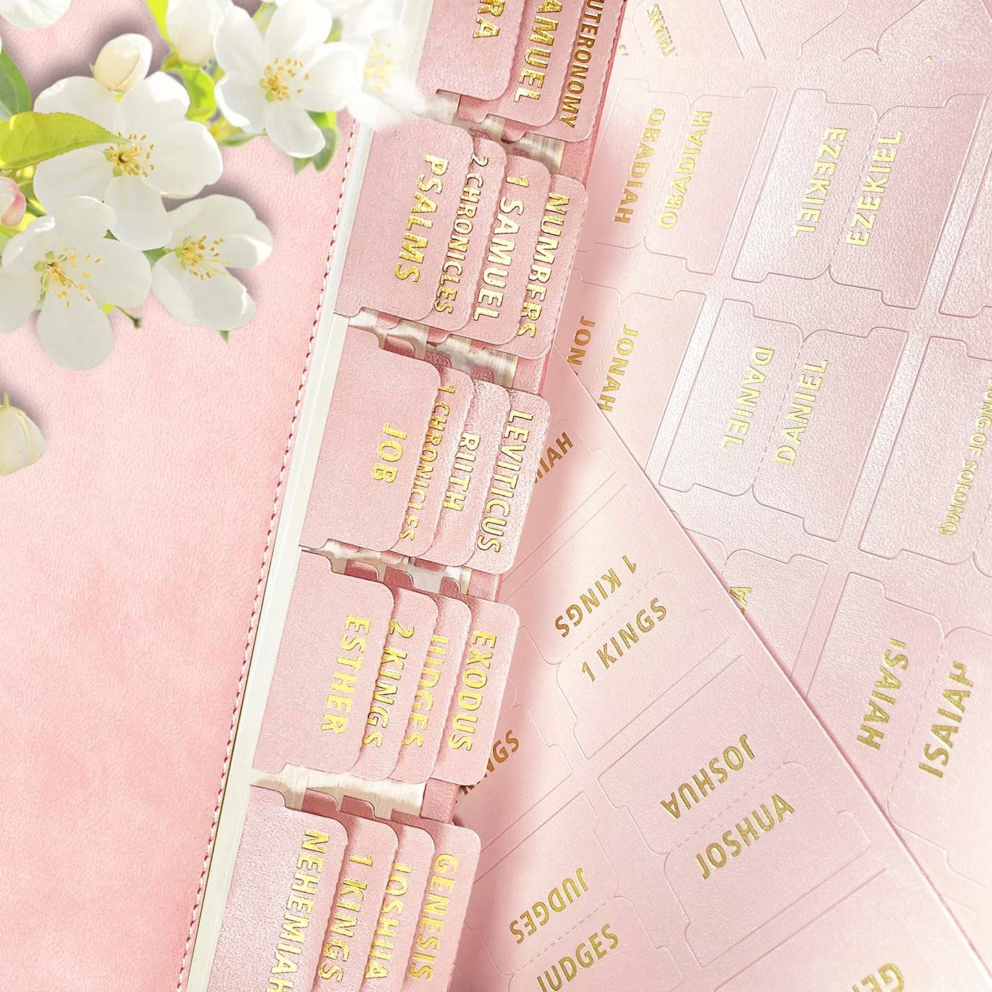 Bible Tabs for Women and Men