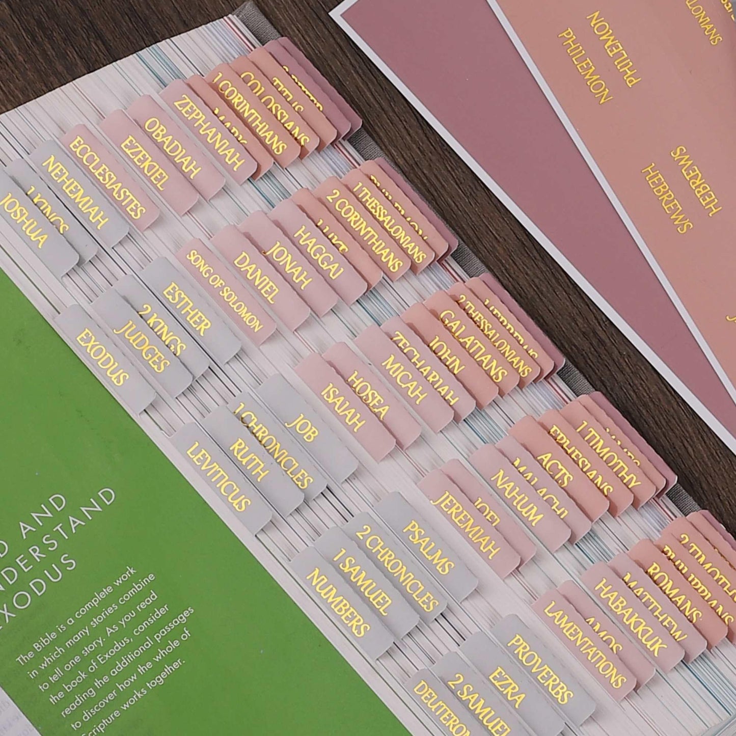 Laminated Bible Tabs