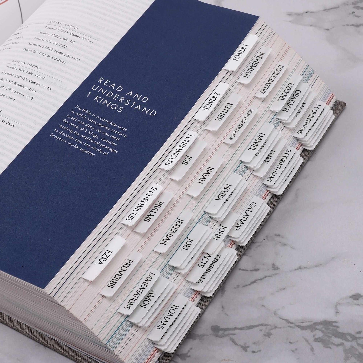 Laminated Bible Tabs