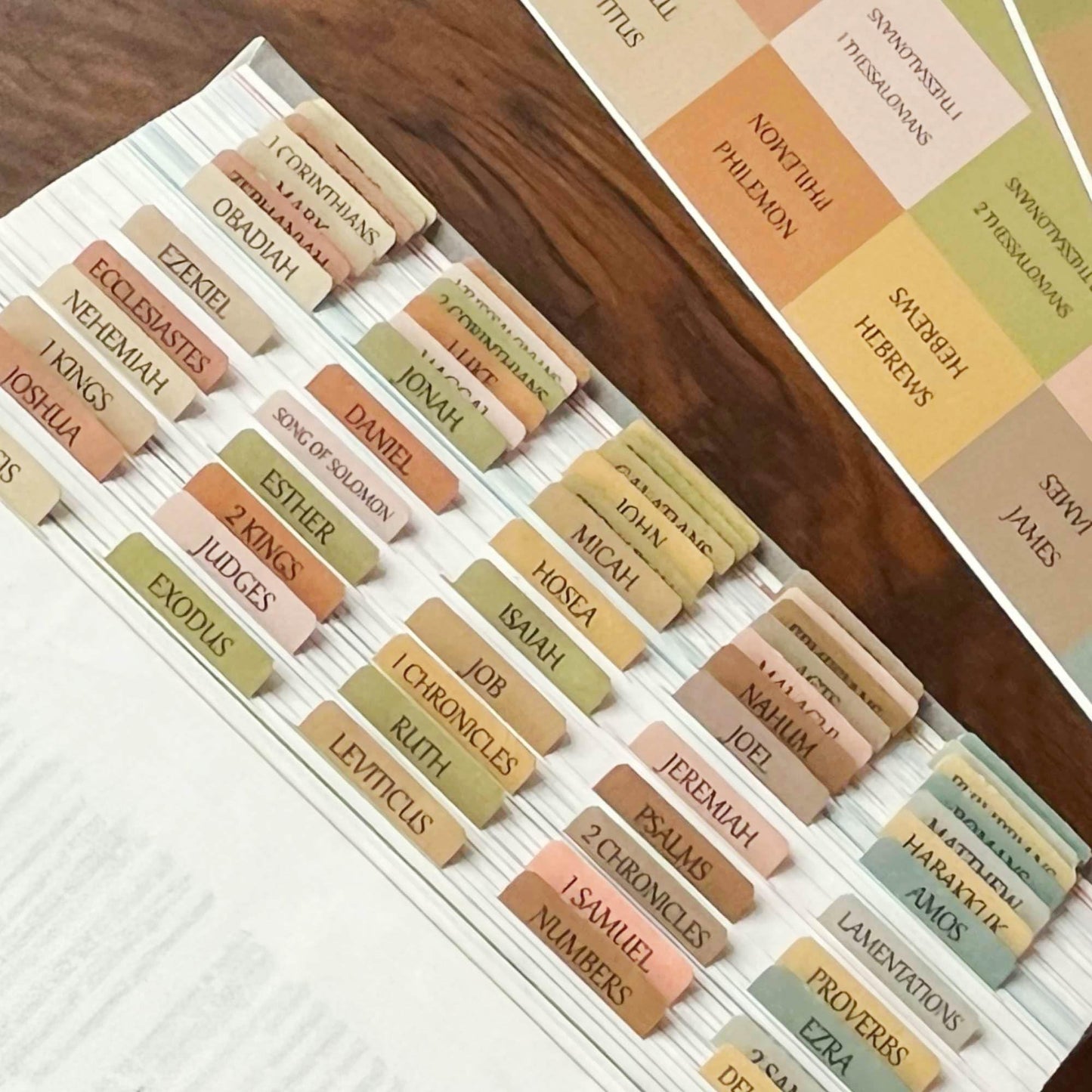 Laminated Bible Tabs