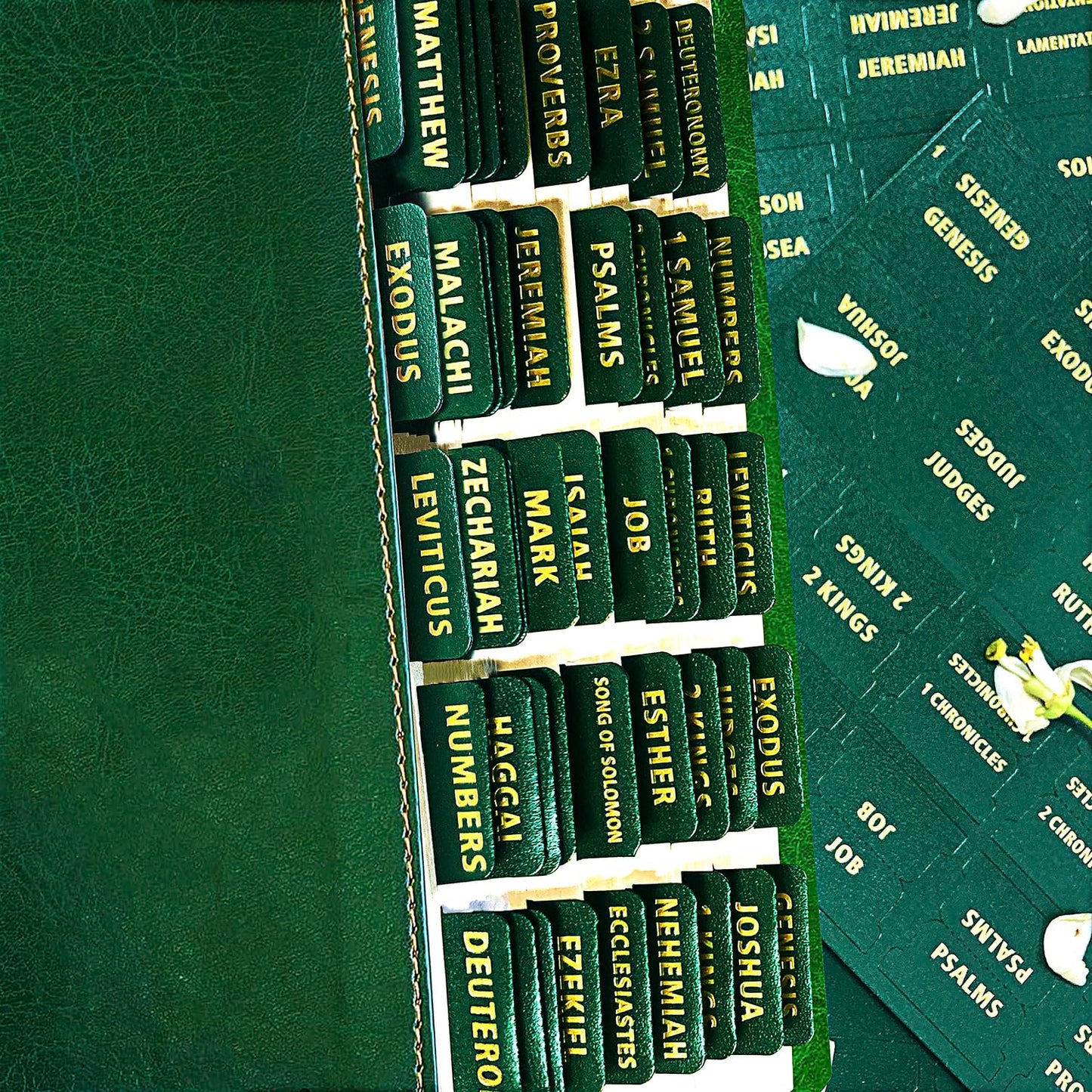 Bible Tabs for Women and Men