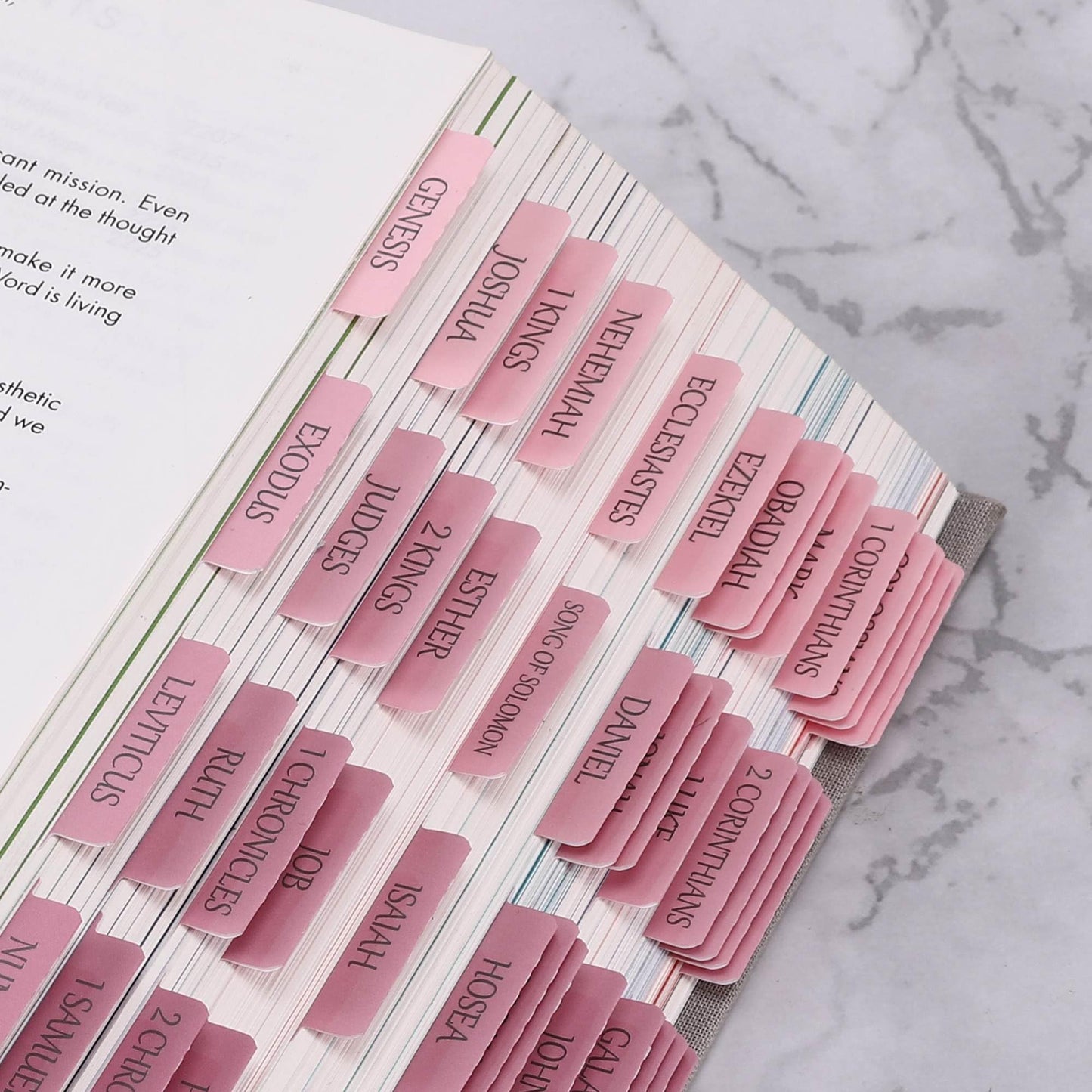 Laminated Bible Tabs