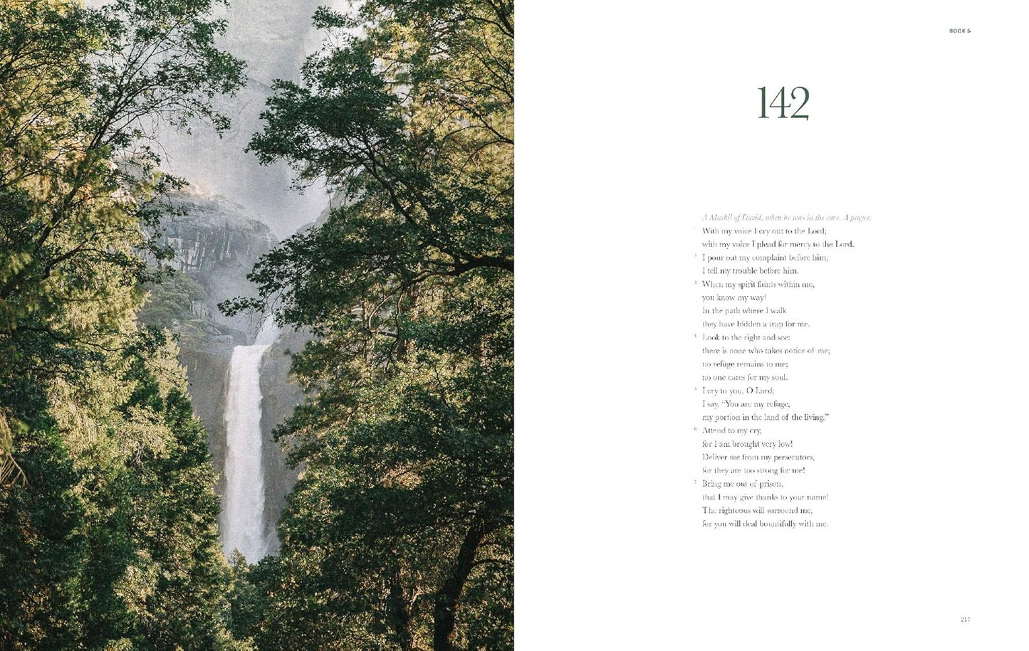 Book of Psalms - Alabaster Bible (NLT)